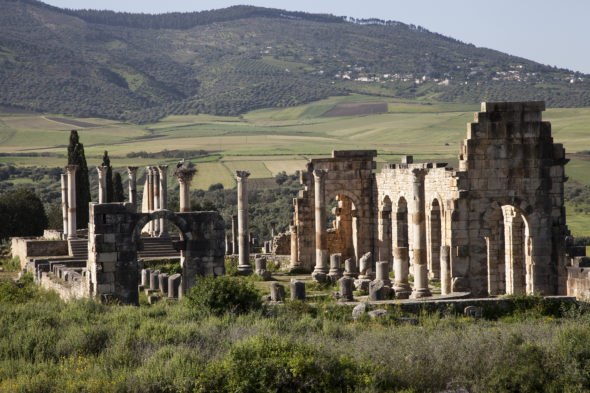 Ancient Wonders: Day Trip from Fes to Volubilis & Meknes